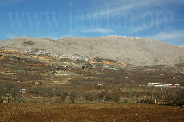 ** ** bntpal_1437307552_11