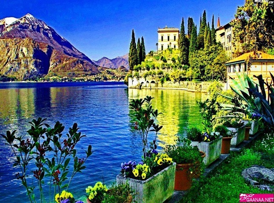  bntpal_1437378416_39
