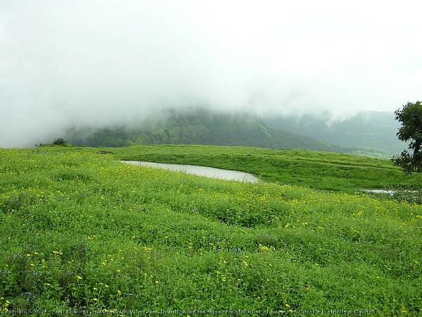 bntpal_1437379361_95