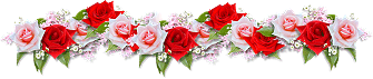 bntpal_1437381143_61