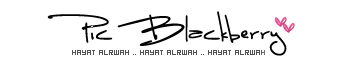 bntpal_1437494020_41