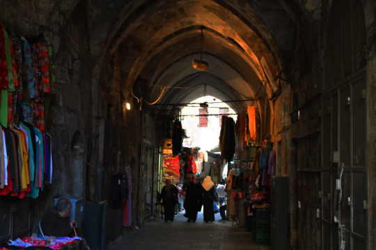 bntpal_1437565213_13