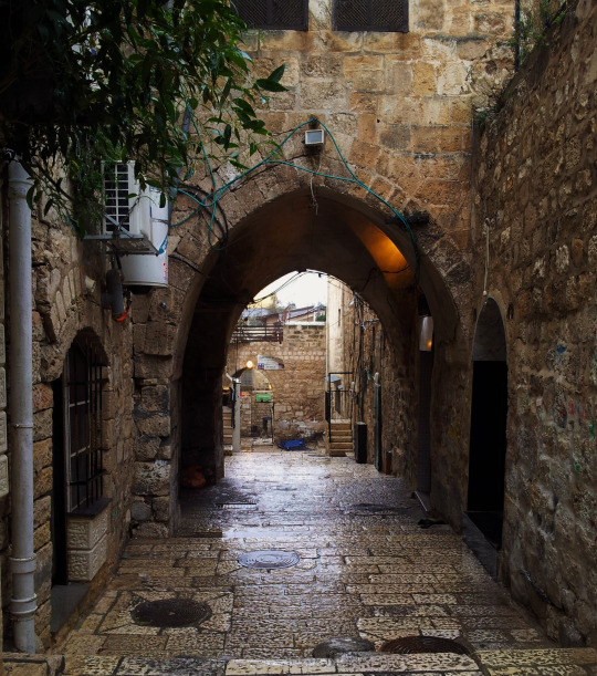 bntpal_1437565213_30