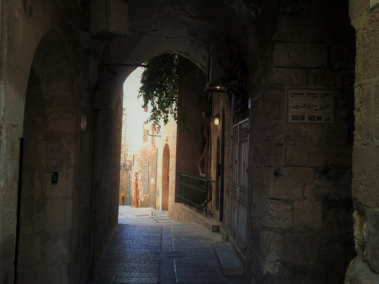 bntpal_1437565213_47