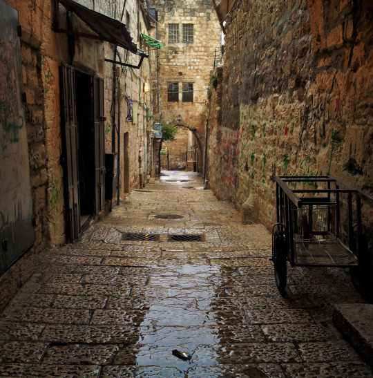 bntpal_1437565213_94