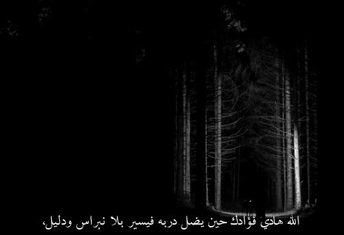 bntpal_1437565762_36
