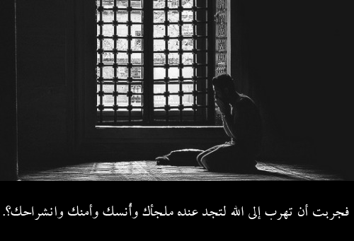 bntpal_1437565762_52