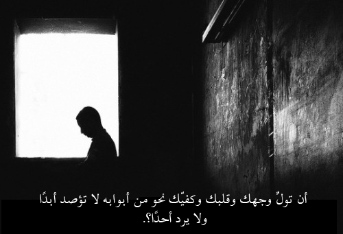 bntpal_1437565762_55