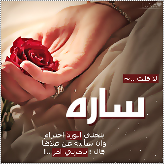 2015  2016 bntpal_1437606735_16