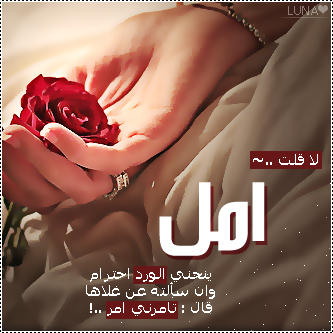 2015  2016 bntpal_1437606735_33