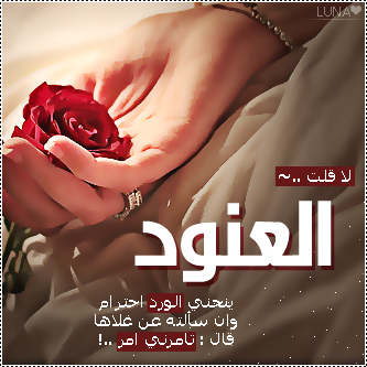 2015  2016 bntpal_1437606735_85