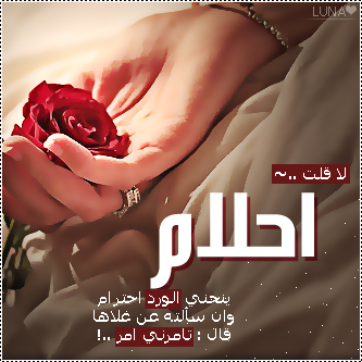 2015  2016 bntpal_1437606736_55