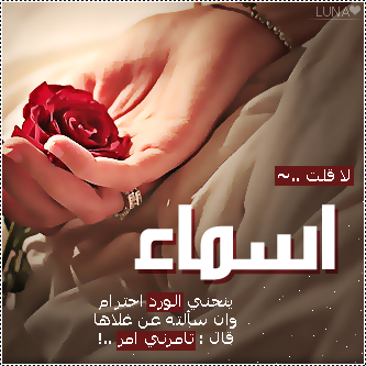 2015  2016 bntpal_1437606736_94