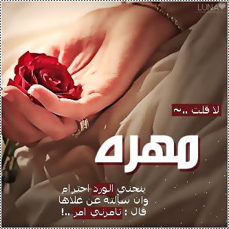 2015  2016 bntpal_1437606737_93