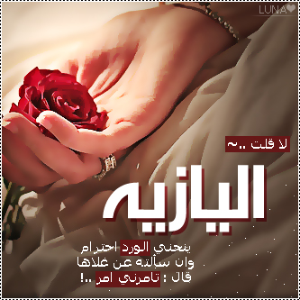 2015  2016 bntpal_1437606738_49
