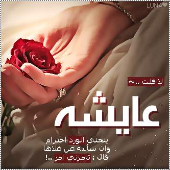 2015  2016 bntpal_1437606738_99