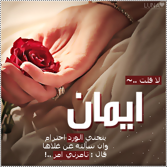 2015  2016 bntpal_1437606739_59