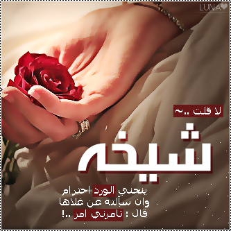 2015  2016 bntpal_1437606739_70