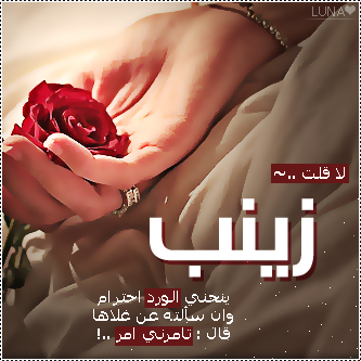 2015  2016 bntpal_1437606740_98
