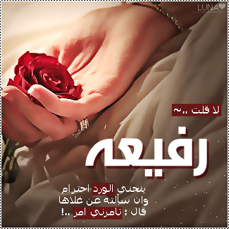 2015  2016 bntpal_1437606741_12