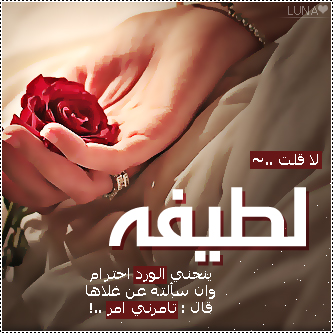 2015  2016 bntpal_1437606741_13