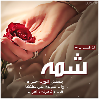 2015  2016 bntpal_1437606742_11