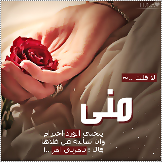 2015  2016 bntpal_1437606742_52