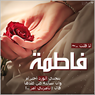 2015  2016 bntpal_1437606743_41