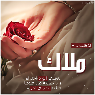 2015  2016 bntpal_1437606744_69