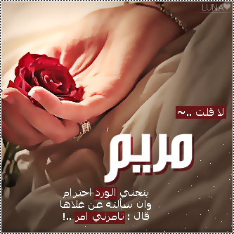 2015  2016 bntpal_1437606744_73