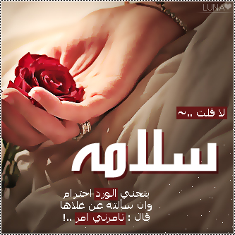 2015  2016 bntpal_1437606745_47