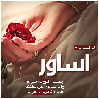 2015  2016 bntpal_1437606745_74