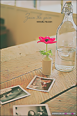  2015 bntpal_1437726049_70