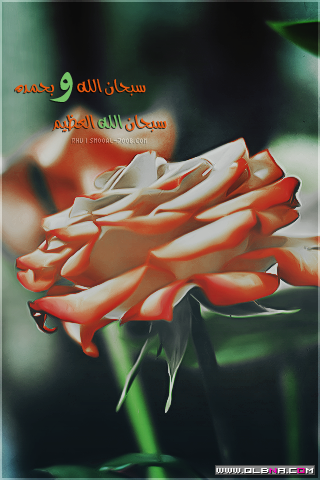  2015 bntpal_1437726077_60