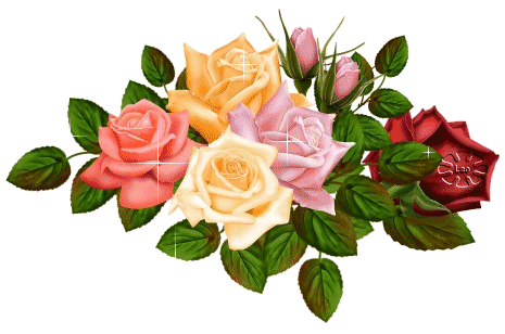 ☆ ☆ bntpal_1437820454_44