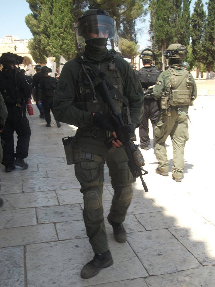 " bntpal_1437921851_23