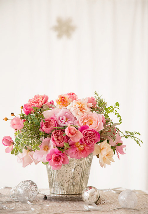   " bntpal_1437944627_92