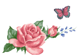 bntpal_1437993034_20