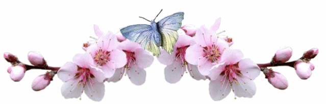 bntpal_1437993034_20