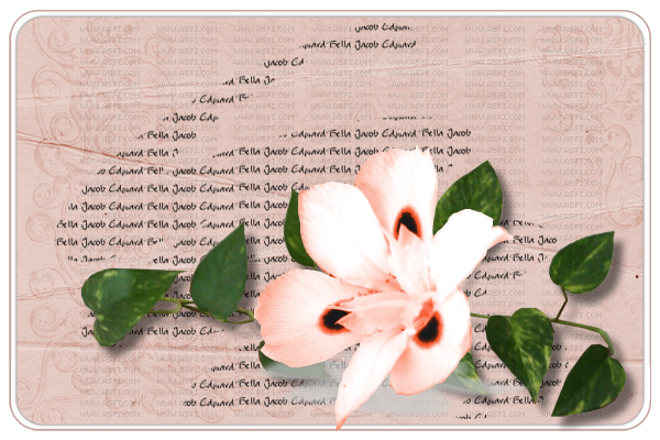 bntpal_1438123650_31