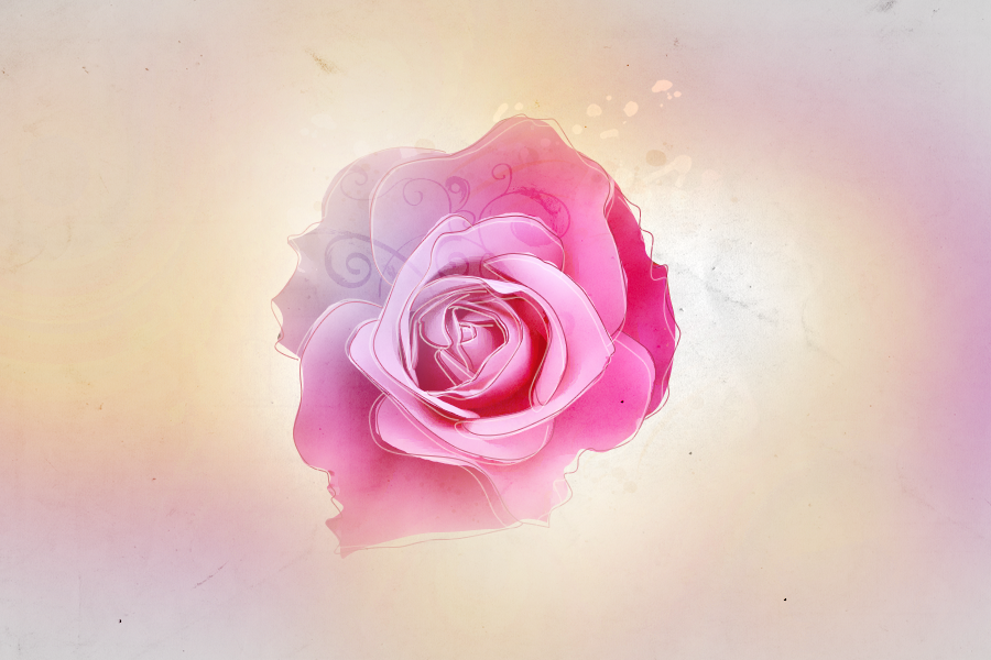 " bntpal_1438124617_19