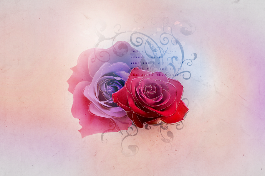 " bntpal_1438124618_10