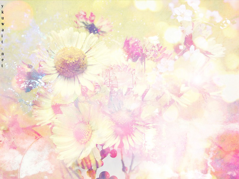 " bntpal_1438124619_30