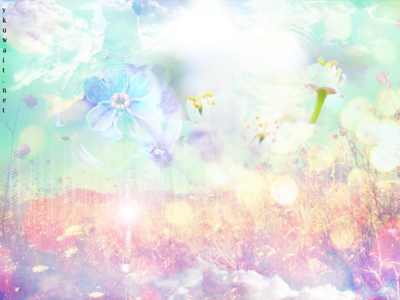 " bntpal_1438124619_92