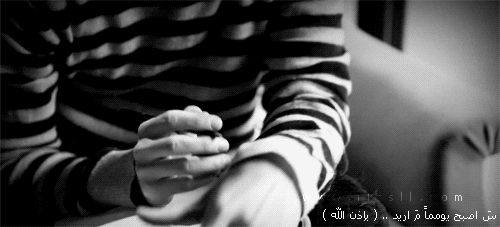  " bntpal_1438125519_13