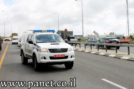  bntpal_1438161934_44