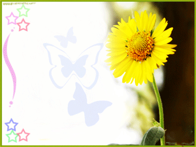 bntpal_1438290694_91