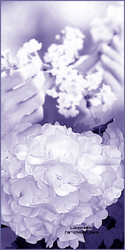  " bntpal_1438290844_32