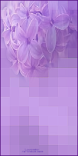  " bntpal_1438290854_77