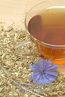  Chicory bntpal_1438332269_97